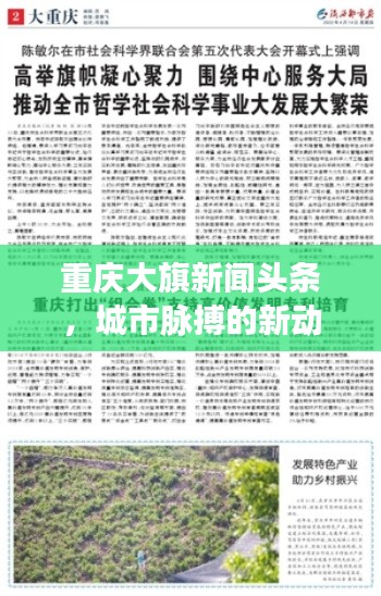 重庆大旗新闻头条，城市脉搏的新动态