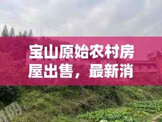 宝山原始农村房屋出售,最新消息抢先看!